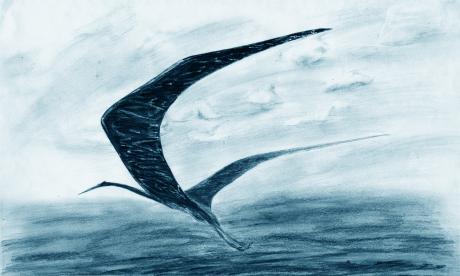 Quetzalcoatlus - Maiko Maul - Array auf - Array - Quetzalcoatlus - Maiko Maul - Array auf - Array -