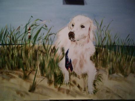 Hund im Dünengras - Gerda Heitmann - Array auf Array - Array - Array Hund im Dünengras - Gerda Heitmann - Array auf Array - Array - Array