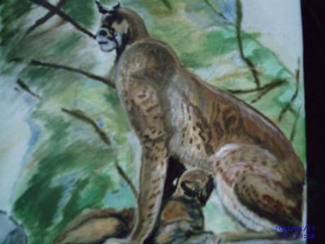 Luchs mit Jungem - helen neumann - Array auf Array - Array - Array Luchs mit Jungem - helen neumann - Array auf Array - Array - Array