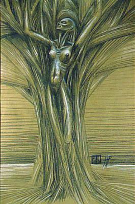 Daphne - Hajo Pitzner - Array auf - Array - Daphne - Hajo Pitzner - Array auf - Array -