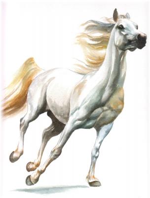 Poseidon - Daniela Pohl - Array auf Array - Array - Array Poseidon - Daniela Pohl - Array auf Array - Array - Array