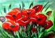Mohn Mohn