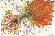 Exotic 3 - Christine Graf - Acryl auf Leinwand - Blumen - Abstrakt Exotic 3 - Christine Graf - Acryl auf Leinwand - Blumen - Abstrakt