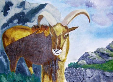 Mähnenspringer - tsiri - auf - Array - Mähnenspringer - tsiri - auf - Array -