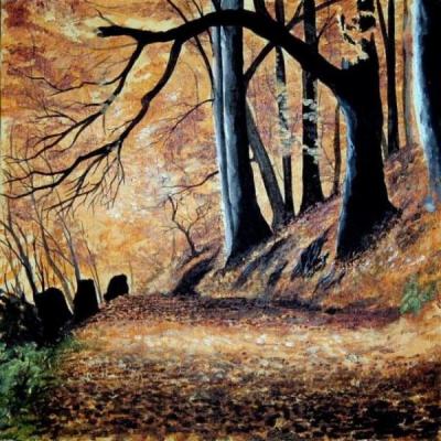 Buchenwald - Joachim Meise - Array auf Array - Array - Buchenwald - Joachim Meise - Array auf Array - Array -