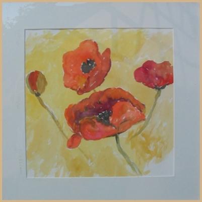 Mohn - Snapi - auf - Array - Mohn - Snapi - auf - Array -