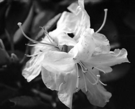 Waitin´ beauties - Dirk Christians - auf - Array - Waitin´ beauties - Dirk Christians - auf - Array -