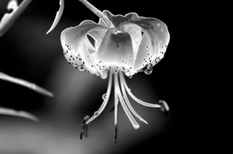 Naturtränen - Alexander Wnuck - auf - Array - Naturtränen - Alexander Wnuck - auf - Array -