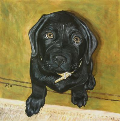 Welpe Bajaan - Annett Tropschug - Array auf Array - Array - Array Welpe Bajaan - Annett Tropschug - Array auf Array - Array - Array