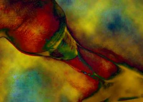 cyberleiber 315 - paulkroker - auf - Array - cyberleiber 315 - paulkroker - auf - Array -