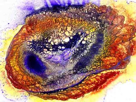 Koronai-4 - TomTimeless - auf - Array - Koronai-4 - TomTimeless - auf - Array -