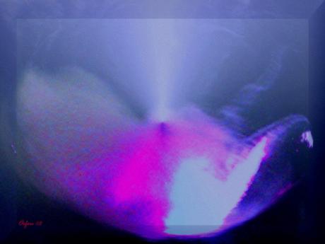 universo 0231 - Orfeu de SantaTeresa - Array auf Array - Array - universo 0231 - Orfeu de SantaTeresa - Array auf Array - Array -