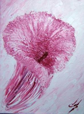 Calla - Prise - auf - Array - Calla - Prise - auf - Array -