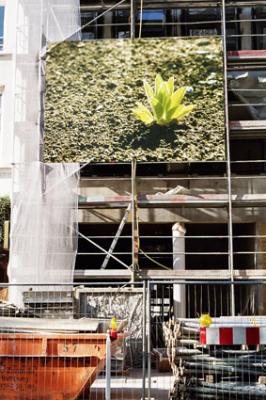 Beginn, Fotografie auf Plane - Ute Kühn - auf - Array - Beginn, Fotografie auf Plane - Ute Kühn - auf - Array -