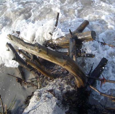 Fundstück_2 - A.Tschiersch - auf Array - Array - Fundstück_2 - A.Tschiersch - auf Array - Array -