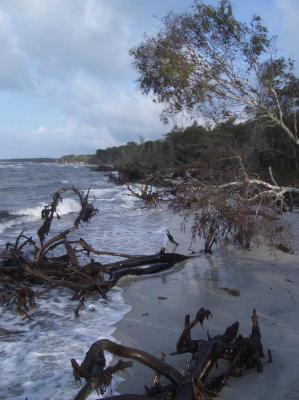Strandleben - A.Tschiersch - auf Array - Array - Strandleben - A.Tschiersch - auf Array - Array -