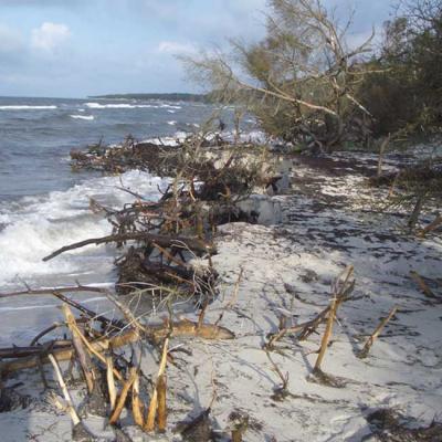 Strandimpressionen - A.Tschiersch - auf Array - Array - Strandimpressionen - A.Tschiersch - auf Array - Array -