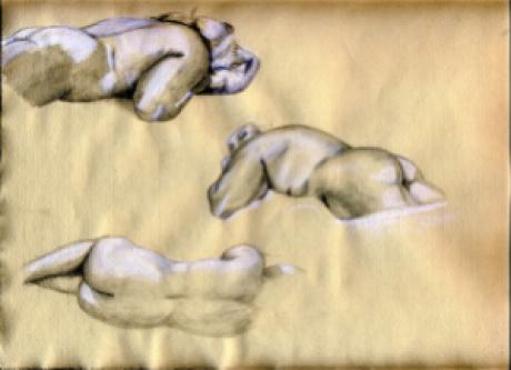 Aktstudie - nOka - Array auf Array - Array - Aktstudie - nOka - Array auf Array - Array -