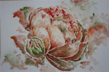 Rose - Mira - Array auf Array - Array - Rose - Mira - Array auf Array - Array -