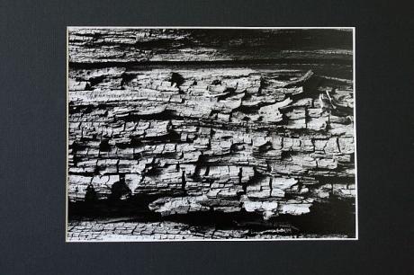 morsches Holz analog SW Foto - Rezlodnas - auf Array - Array - morsches Holz analog SW Foto - Rezlodnas - auf Array - Array -