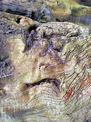 Rübezahl - ct - auf - Array - Rübezahl - ct - auf - Array -