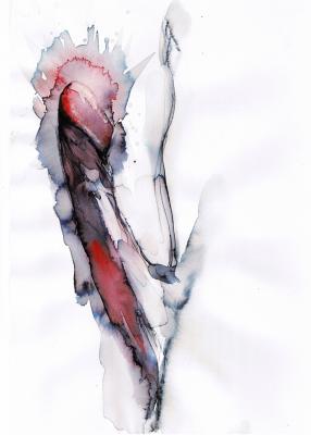 Phallus - Hajo Pitzner - Array auf - - Phallus - Hajo Pitzner - Array auf - -