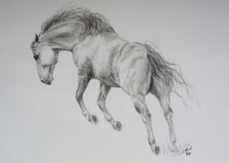 Bockendes Pferd - Sabrina Thiel - Array auf - - Array Bockendes Pferd - Sabrina Thiel - Array auf - - Array