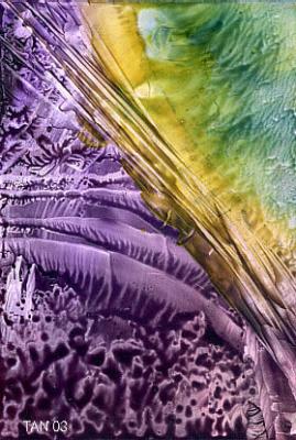 Encaustic Nr4. -TAN- (Tanja Meyer) - Tan - auf Array - Array - Encaustic Nr4. -TAN- (Tanja Meyer) - Tan - auf Array - Array -