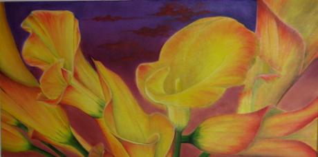 calla - serkan apaydin - Array auf Array - Array - Array calla - serkan apaydin - Array auf Array - Array - Array