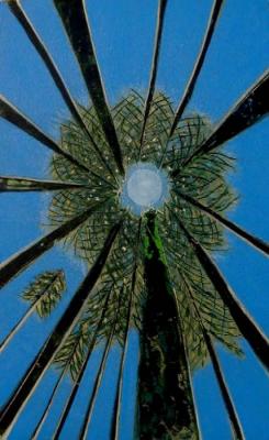 Himmelhoch - Regina Sykora - Regina Sykora - Array auf - Array - Himmelhoch - Regina Sykora - Regina Sykora - Array auf - Array -