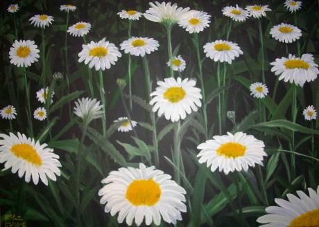 Margeriten - Knut Stein - Array auf Array - Array - Array Margeriten - Knut Stein - Array auf Array - Array - Array