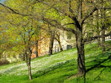 Frühling am Hansering in Halle an der Saale - Wolfgang Bergter - Array auf Array - Array - Frühling am Hansering in Halle an der Saale - Wolfgang Bergter - Array auf Array - Array -
