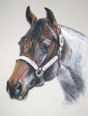 Marlanas Hot Krymsun - atelier zerah - Array auf Array - Array - Array Marlanas Hot Krymsun - atelier zerah - Array auf Array - Array - Array