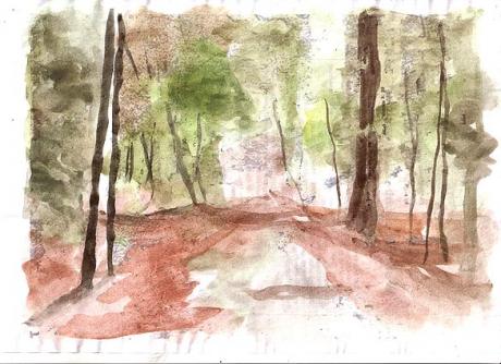 Herbstwald - Moor Alfi - Array auf Array - - Array Herbstwald - Moor Alfi - Array auf Array - - Array