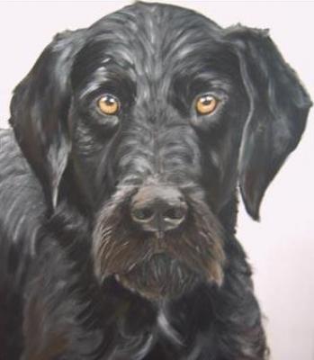 Moritz - Laura Fehlauer - Array auf Array - Array - Array Moritz - Laura Fehlauer - Array auf Array - Array - Array