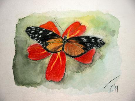 Schmetterling auf Blüte - Thomas Honermont - Array auf Array - Array - Array Schmetterling auf Blüte - Thomas Honermont - Array auf Array - Array - Array