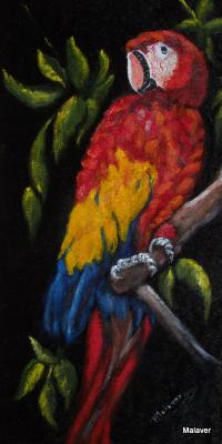 Papagay - Maria Abt - auf Array - Array - Papagay - Maria Abt - auf Array - Array -