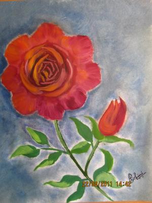 Rose - Rohini Yalakkishettar - Array auf Array - Array - Array Rose - Rohini Yalakkishettar - Array auf Array - Array - Array