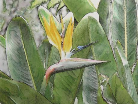 Bloom splendour 2 - Neithard Schmidt - Array auf Array - Array - Array Bloom splendour 2 - Neithard Schmidt - Array auf Array - Array - Array