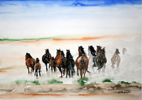 Wilde Herde - Sadettin Canpolat - Array auf Array - Array - Array Wilde Herde - Sadettin Canpolat - Array auf Array - Array - Array