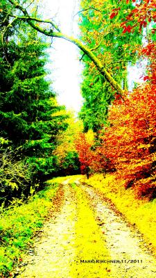 ---Foto 4 - Mario Kirchner - Array auf - - ---Foto 4 - Mario Kirchner - Array auf - -