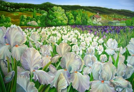 Irisfeld - Simone Wilhelms - Array auf Array - Array - Array Irisfeld - Simone Wilhelms - Array auf Array - Array - Array