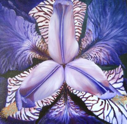 Irisschlund - Simone Wilhelms - Array auf Array - Array - Array Irisschlund - Simone Wilhelms - Array auf Array - Array - Array