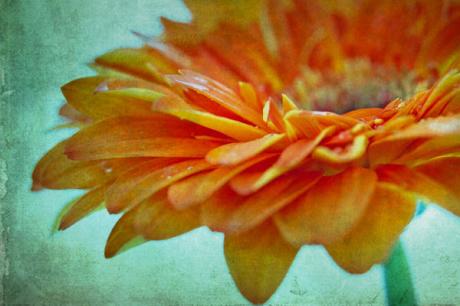 Summer Feelings - Annett Tropschug - Array auf - Array - Summer Feelings - Annett Tropschug - Array auf - Array -