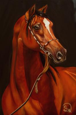 Pferdeporträt Athos - Simone Wilhelms - Array auf Array - Array - Array Pferdeporträt Athos - Simone Wilhelms - Array auf Array - Array - Array