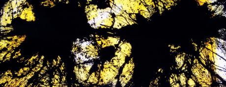 PRO 1 - Rüdiger Sauerhammer - Array auf Array - Array - Array PRO 1 - Rüdiger Sauerhammer - Array auf Array - Array - Array