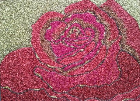 Rote Rose - Alexander Schmidt - auf Array - Array - Rote Rose - Alexander Schmidt - auf Array - Array -