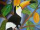 Tucano Tucano
