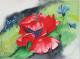 Klatschmohn dunkel - Egon Rathke - Aquarell auf - Mohn - Klatschmohn dunkel - Egon Rathke - Aquarell auf - Mohn -