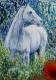Withe horse - Wolfgang Blümel - Gouache auf Karton - Pferde - Withe horse - Wolfgang Blümel - Gouache auf Karton - Pferde -